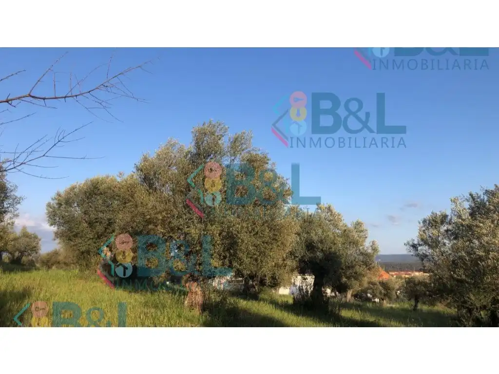 Terrenos y solares en venta en Rosal de la Frontera