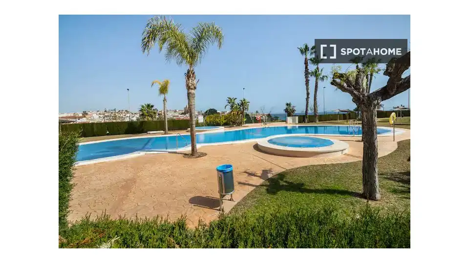 Swimming pool of Apartments for share in Pilar de la Horadada  with Air Conditioner, Terrace and Furnished