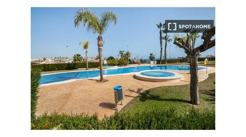 Photo 4 of Apartment for share in Pueblo Latino, Pilar de la Horadada