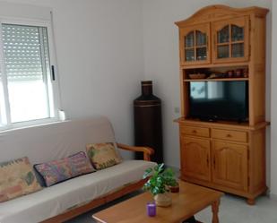 Sala d'estar de Apartament de lloguer en Vinaròs