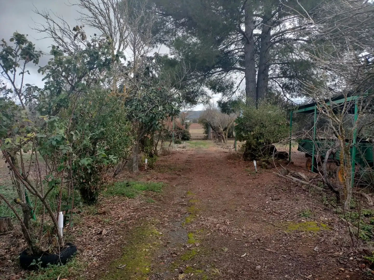 Finca rústica en venta en Argamasilla de Calatrava
