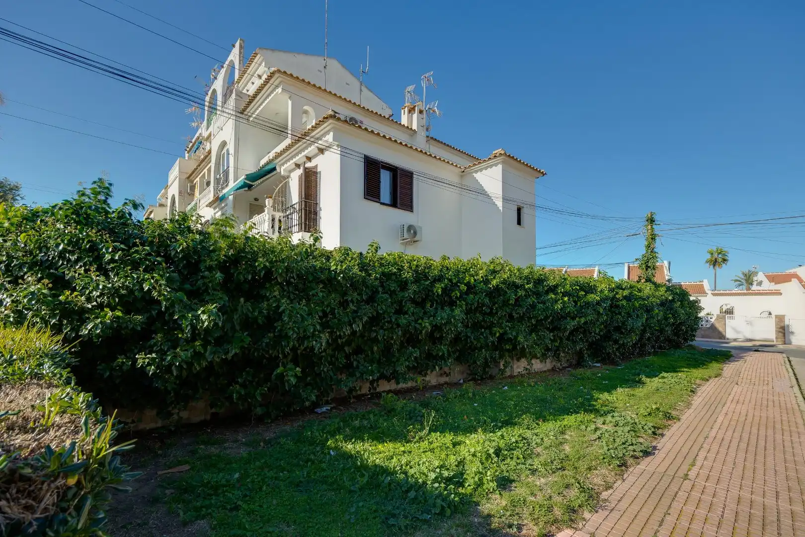 Vista exterior de Casa o xalet en venda en Torrevieja amb Aire condicionat, Jardí privat i Moblat