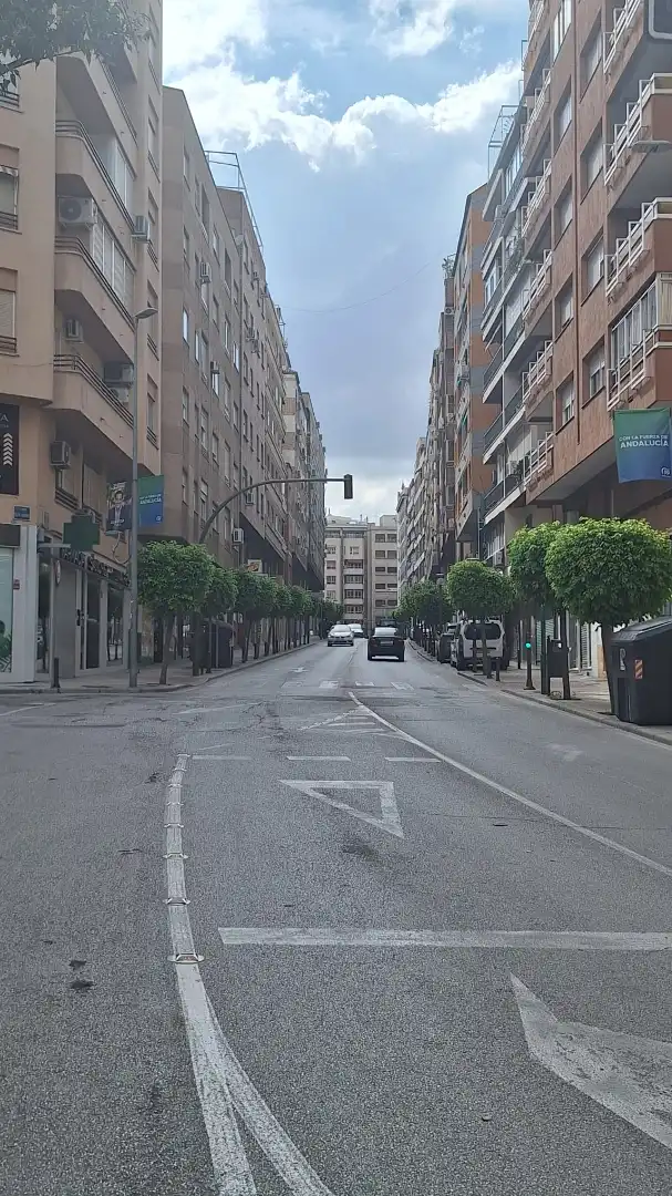 Pis amb terrassa en venda a Avenida Granada, imagen 24