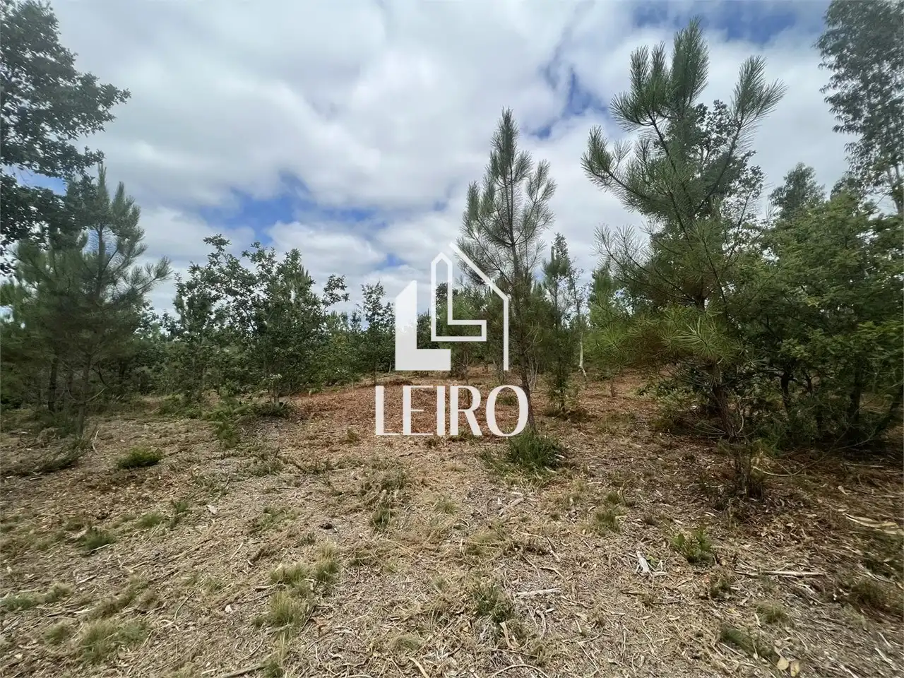 Casa amb jardí en venda a Ribadumia, imagen 6