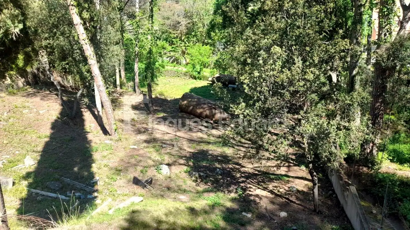 Lands and plots for sale in Nucli Urbà, imagen 8