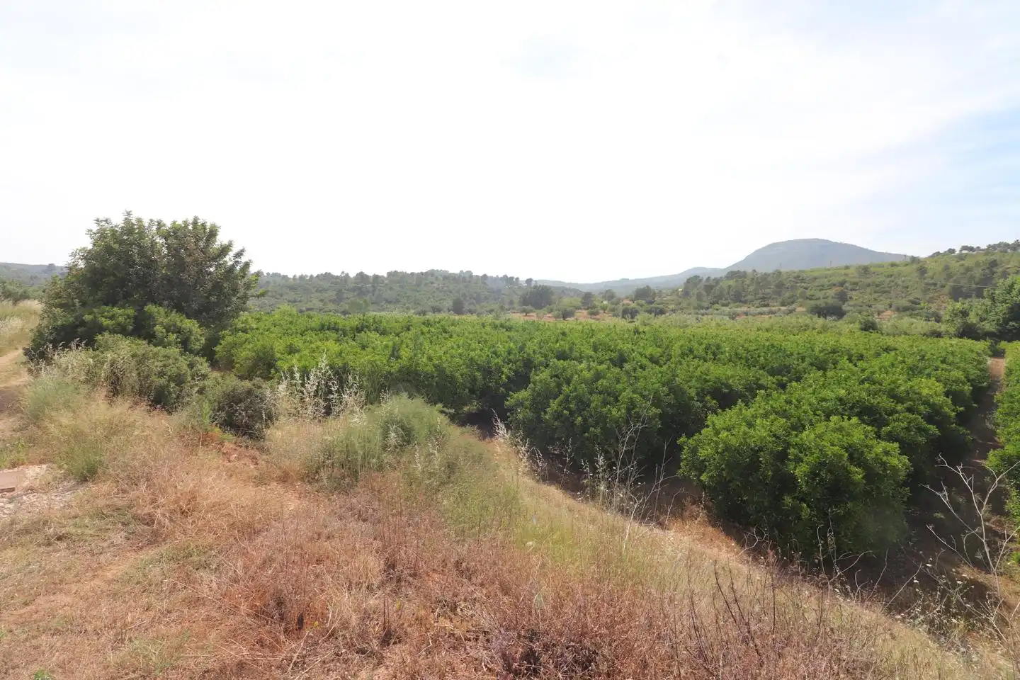 Grundstücke und Bauplätze zum Verkauf in MAESTRO CERVERA LLORET, imagen 3