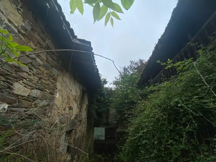 Vista exterior de Finca rústica en venta en Salas