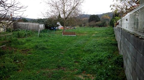 UN BONITO TERRENO EN CASTILLO DONDE EDIFICAR TU FUTURO, immagine 2