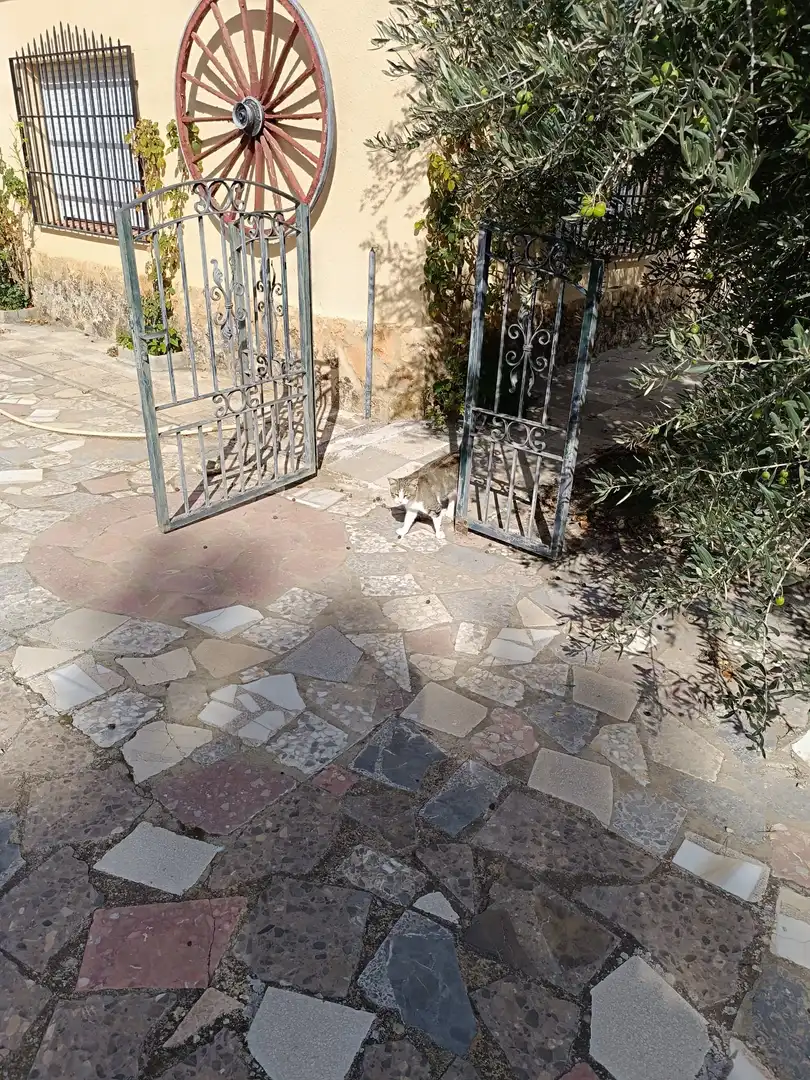 Xalet amb terrassa en venda a Pedanías - Extrarradio, imagen 7