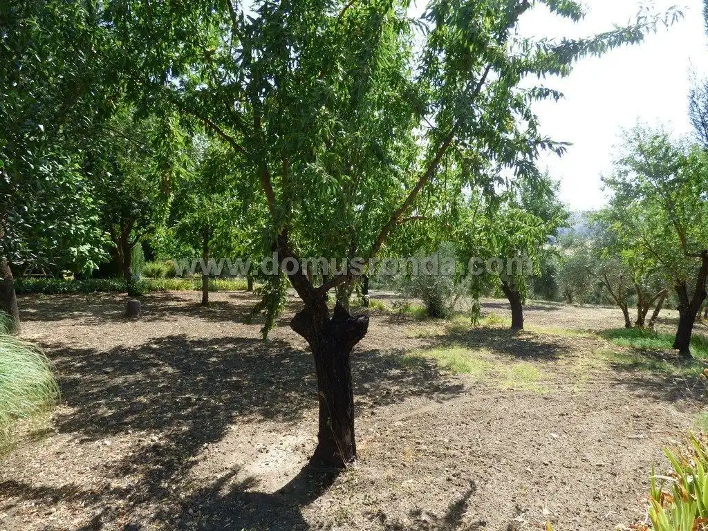 Xalet amb piscina en venda a San Rafael, imagen 4