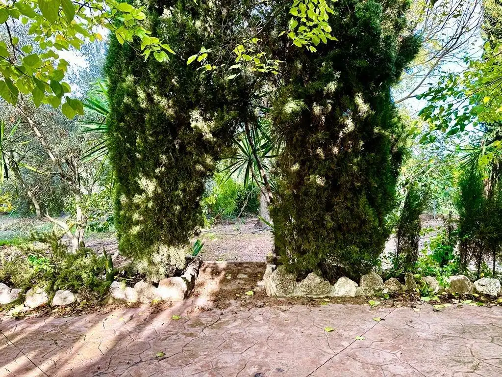 Jardí de Finca rústica en venda en Carcabuey amb Calefacció, Traster i Piscina