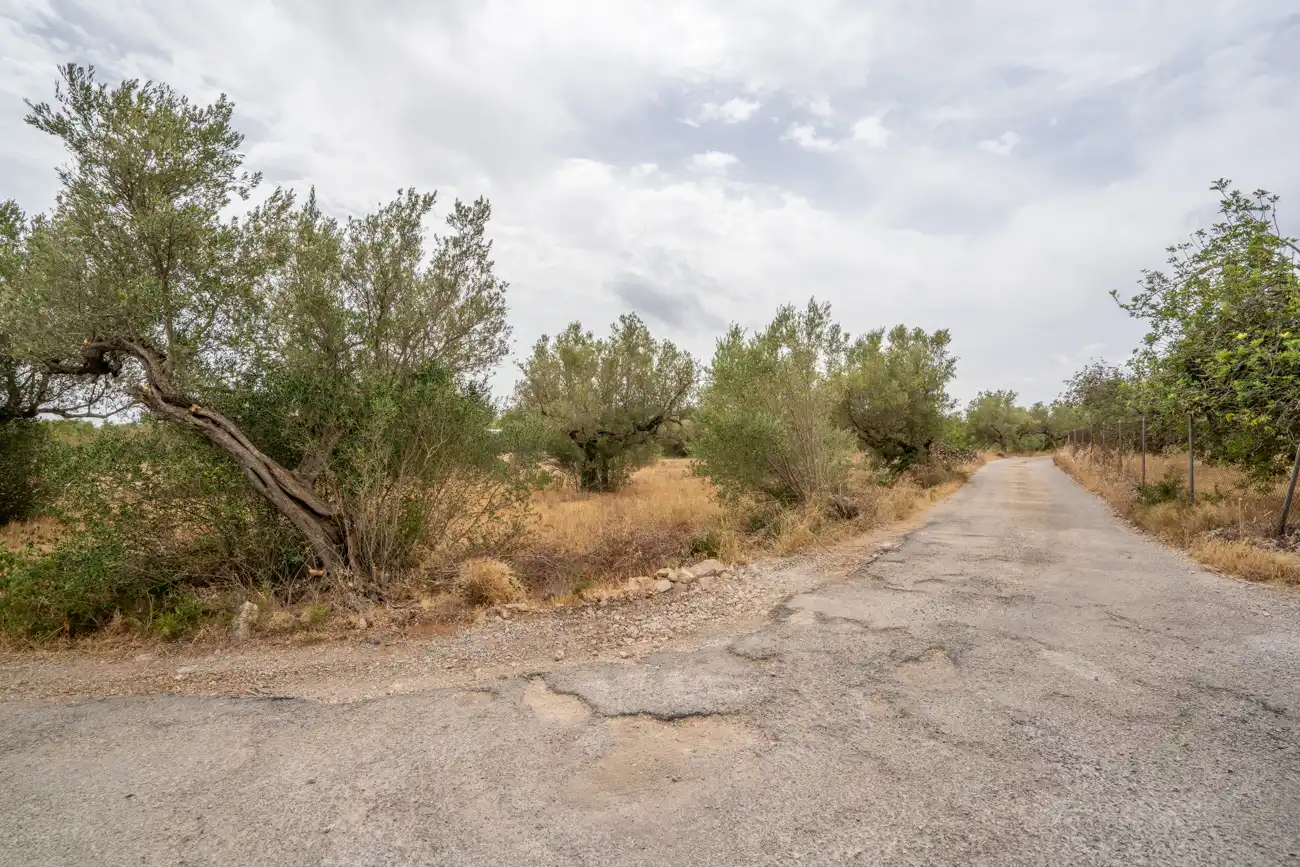 Terrain rustique à vendre à Carrer del Boix 54, imagen 4