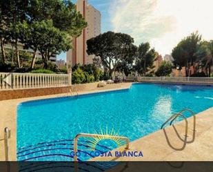 Piscina de Estudi en venda en Benidorm