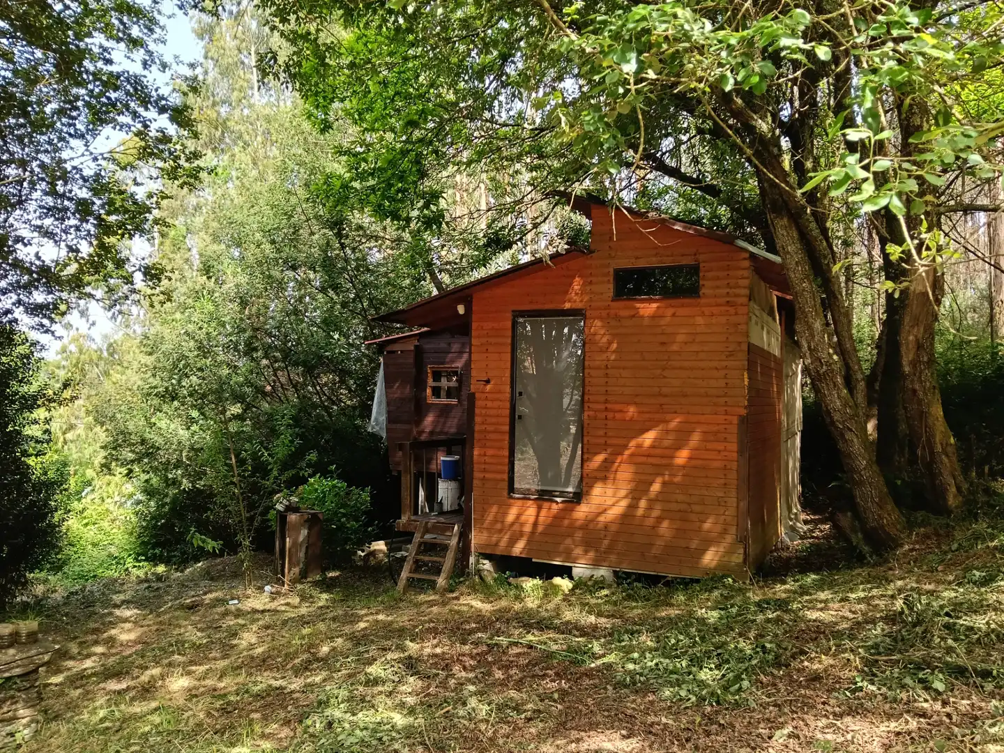 Maison avec jardin à vendre à Cesuras, imagen 24