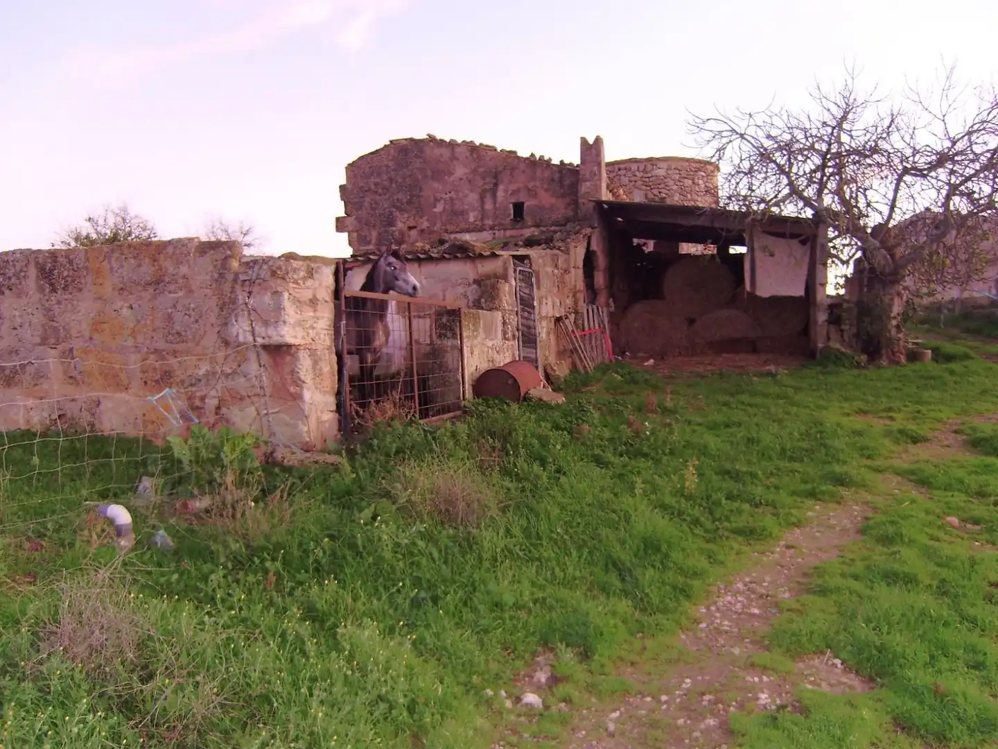 Country house with pool for sale in Muro, imagen 10