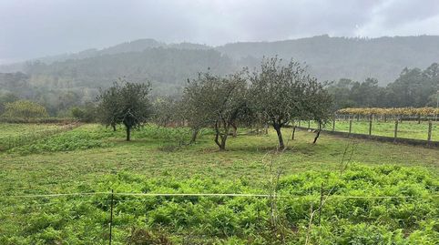 gran oportunidad!!!. se alquila  finca en pontevea, a 5 minutos de la estrada , a 13 km de santiago , rustica, con semicerrada, co