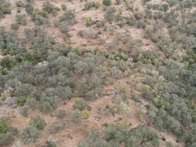 Terreno en venta en Zalamea la Real
