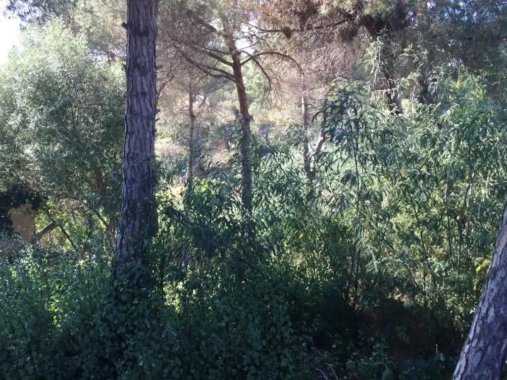 Wohnbaugrundstück zum Verkauf in Calle Benidorm