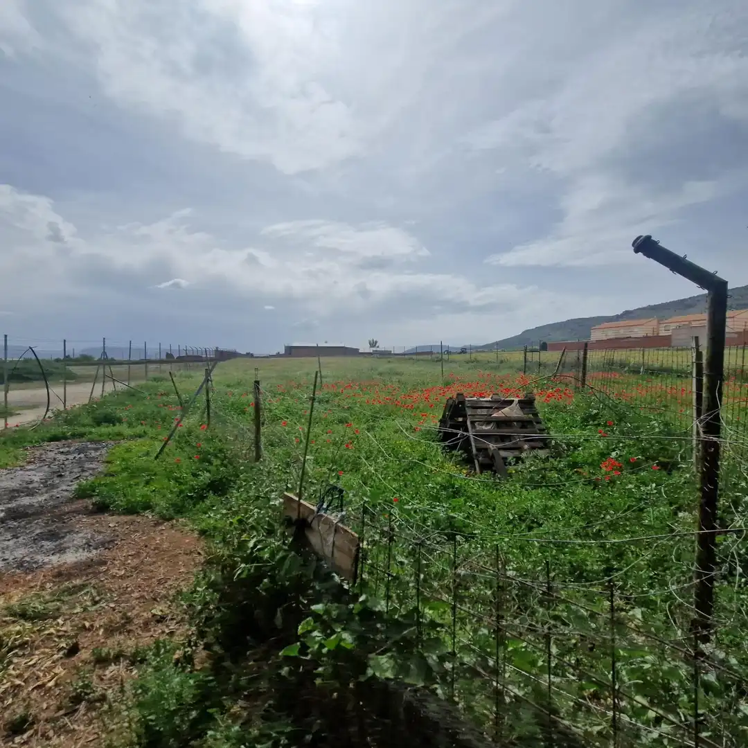 Rustikales Grundstück zum Verkauf in Los Yébenes, imagen 2
