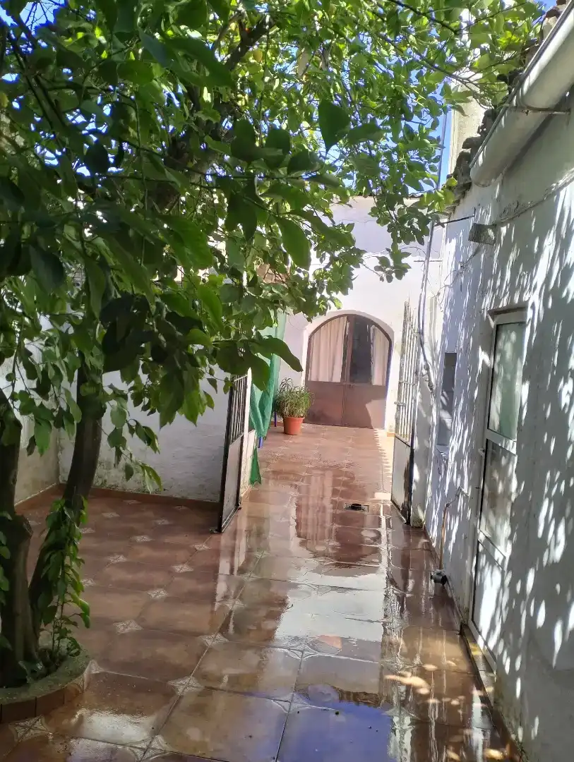 Vista exterior de Planta baja en venta en Medina de las Torres, Badajoz