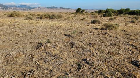 Photo 4 of Residential to rent in Tarifa ciudad, Cádiz