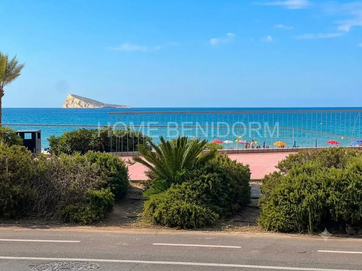 Geschaftsraum zur Miete in Benidorm