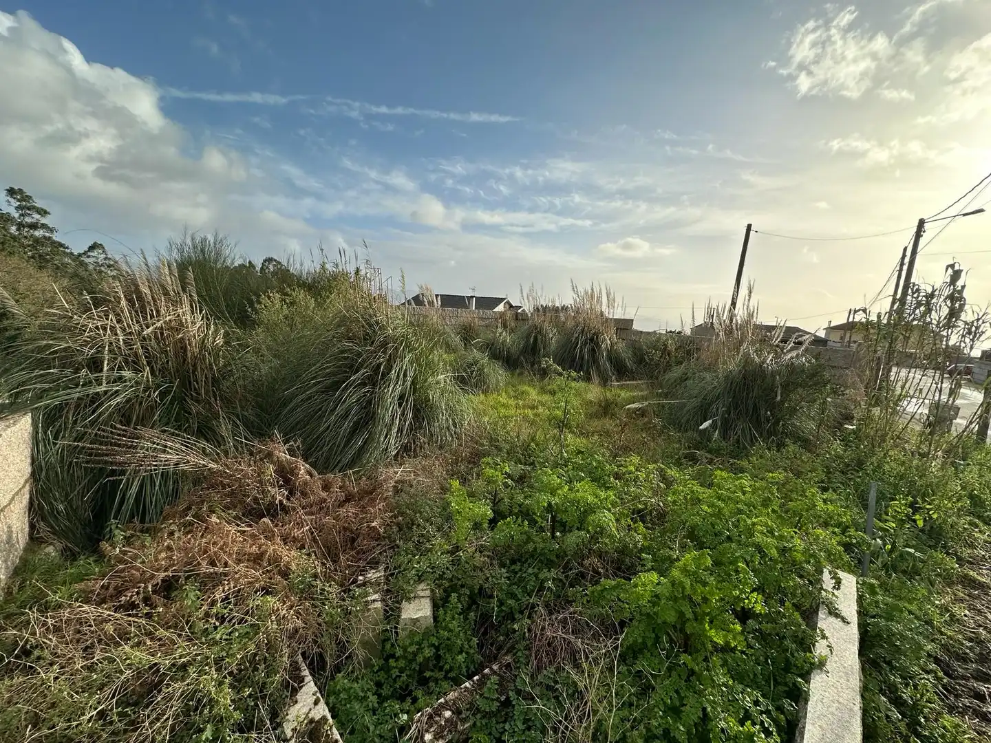 Terreny residencial en venda a Lugar Aldariz-Padriñan, imagen 2
