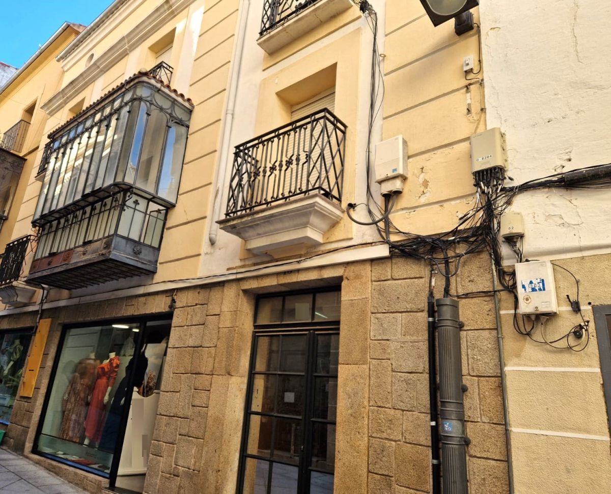 Exterior view of Building for sale in Plasencia