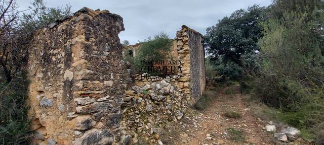 Terreno residencial en Venta en Tírig