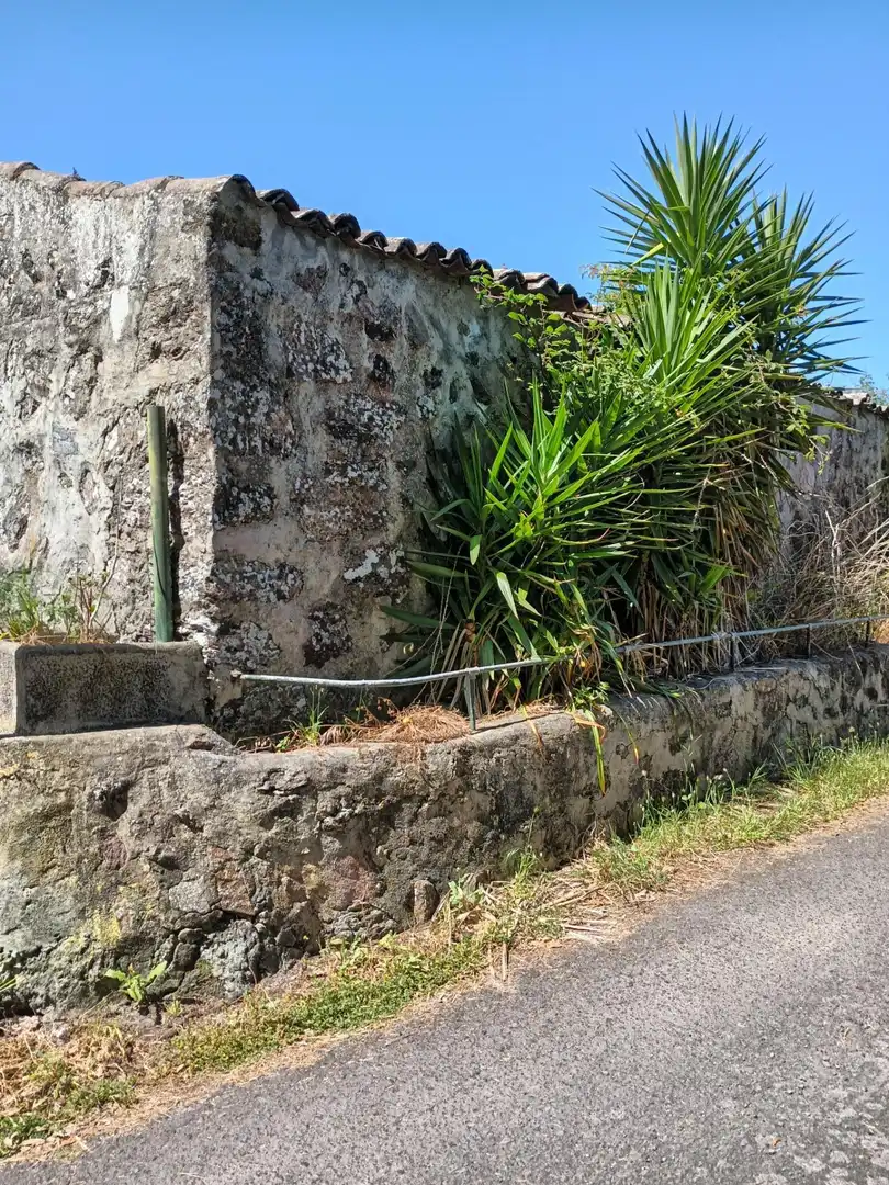 Vista exterior de Finca rústica en venta en Garachico