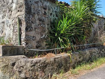 Casa rustica in vendita a Garachico