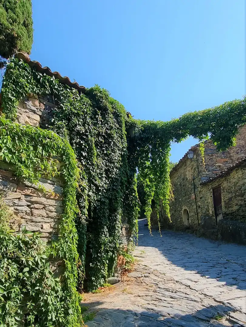 Vista exterior de Dúplex en venda en Patones amb Calefacció, Terrassa i Traster