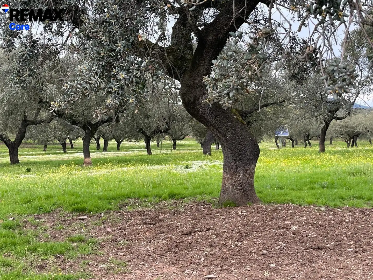 Terreni e lotti in vendita a Jerez de los Caballeros, imagen 11