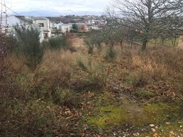 Terreni e lotti in vendita a Cabañas Raras