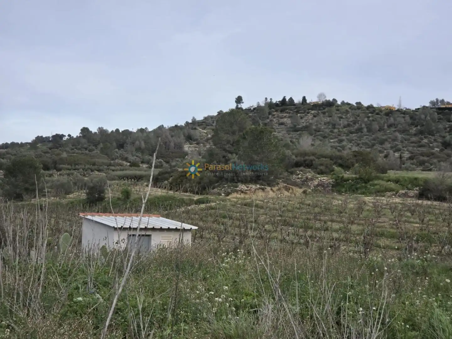 Terreno en venta en Benigànim