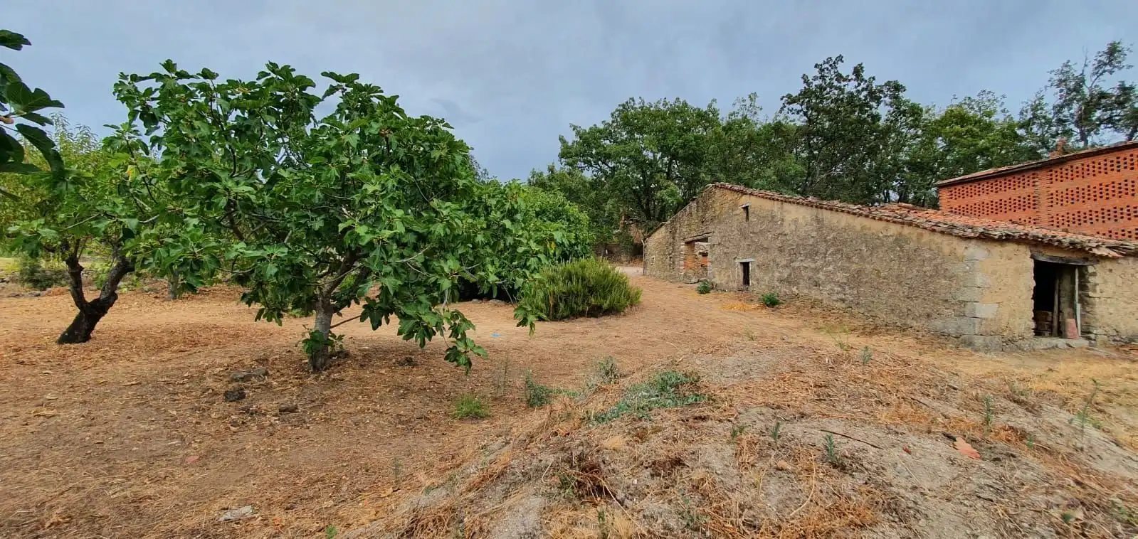 Terreni e lotti in vendita a Jarandilla de la Vera, imagen 14