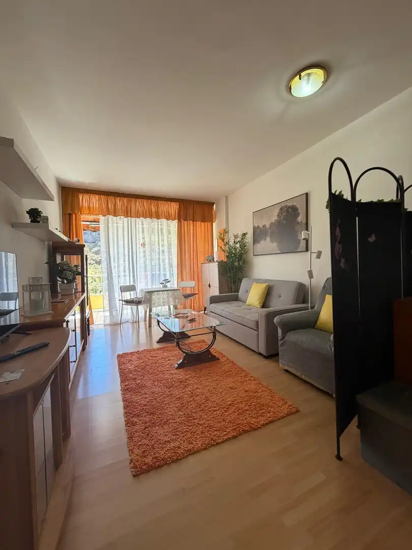 Sala d'estar de Estudi de lloguer en Puerto de la Cruz amb Parquet, Terrassa i Balcó
