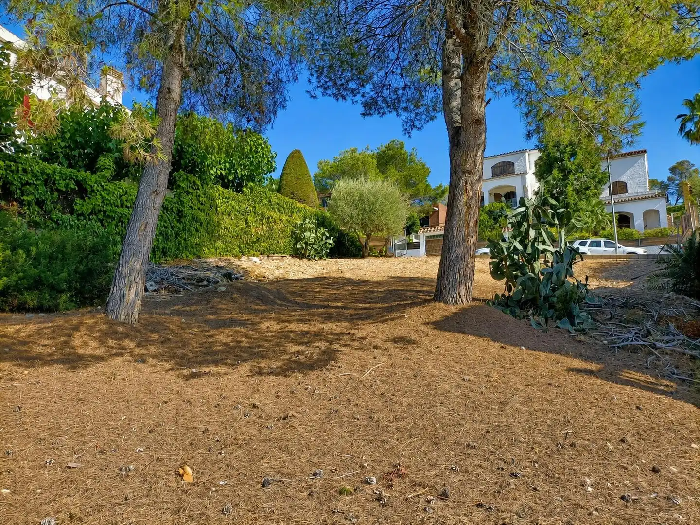Terreno residencial en venta en Canyelles, imagen 10