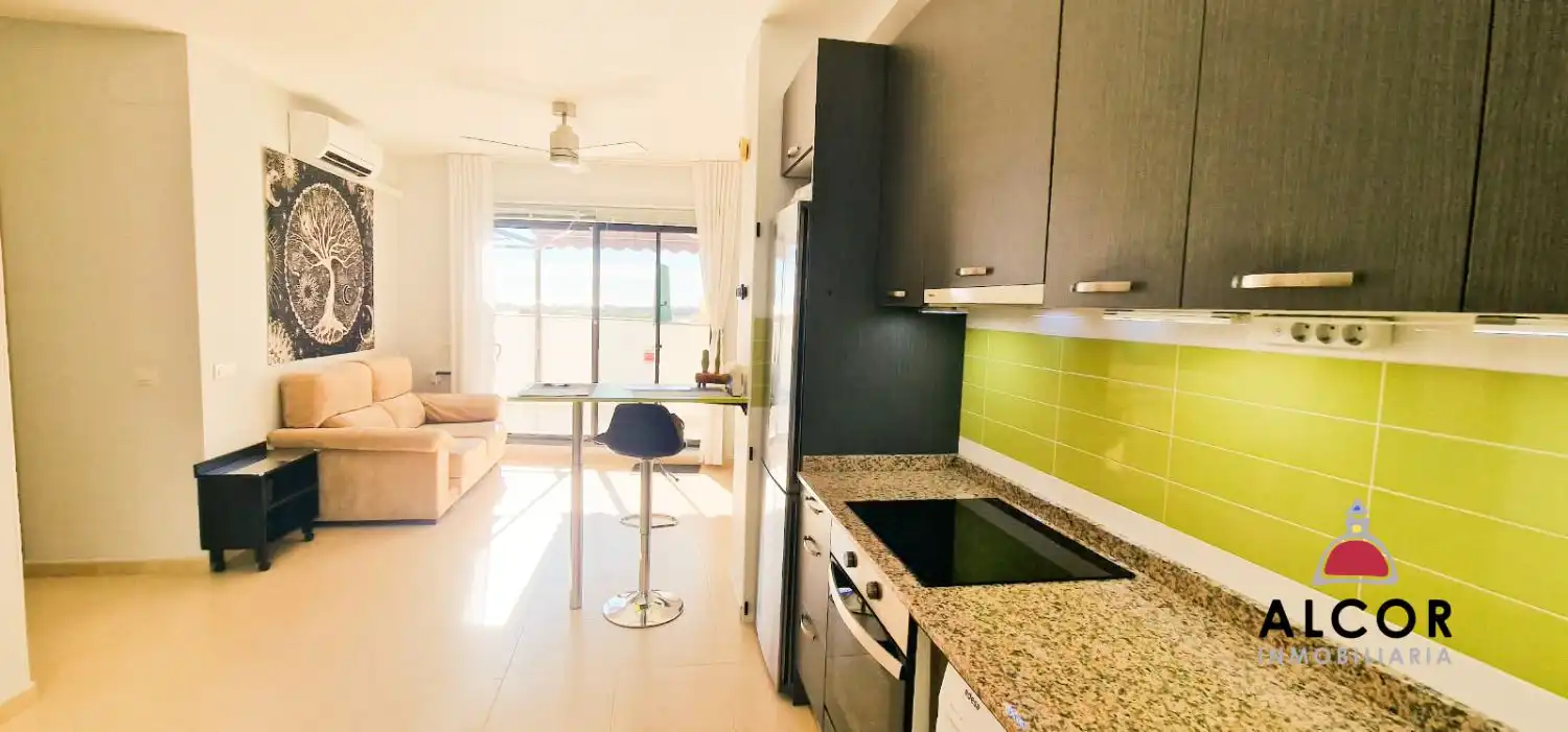 Wohnung mit Terrasse zum Verkauf in Torreblanca, imagen 3