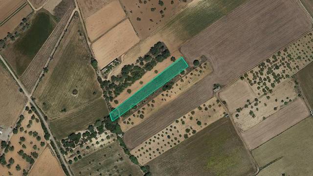 Terreno en Venta en Pl 11 Parc 233 en Porreres