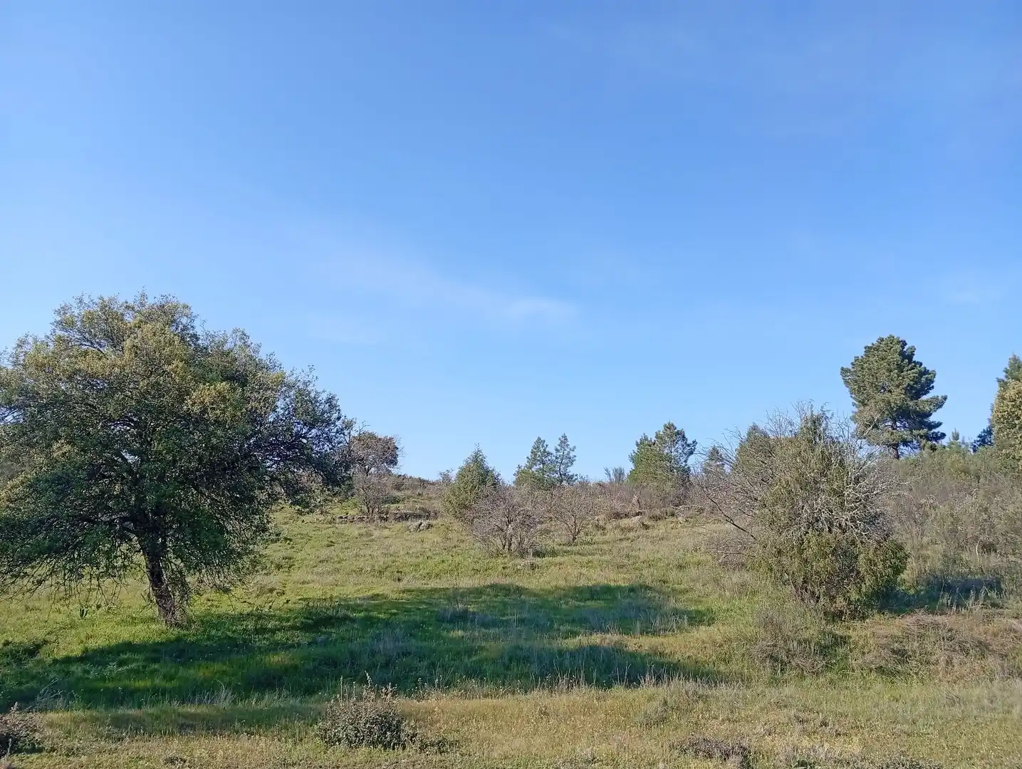 Terreni e lotti in vendita a Villanueva de la Vera, imagen 4