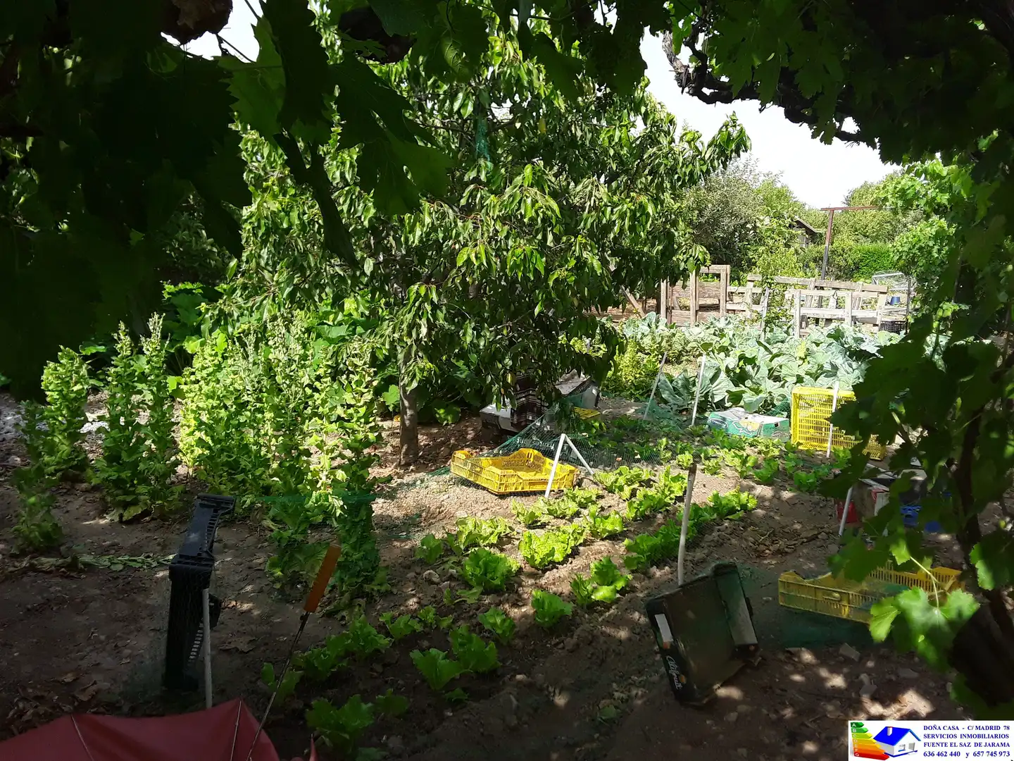 Jardín de Casa o chalet en venta en Fuente El Saz de Jarama con Aire acondicionado, Calefacción y Jardín privado
