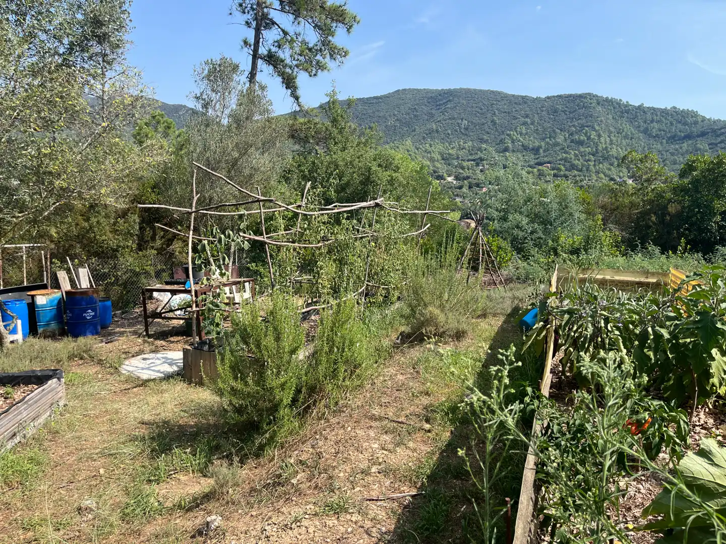 Jardín de Terreno en venta en Sant Martí de Llémena