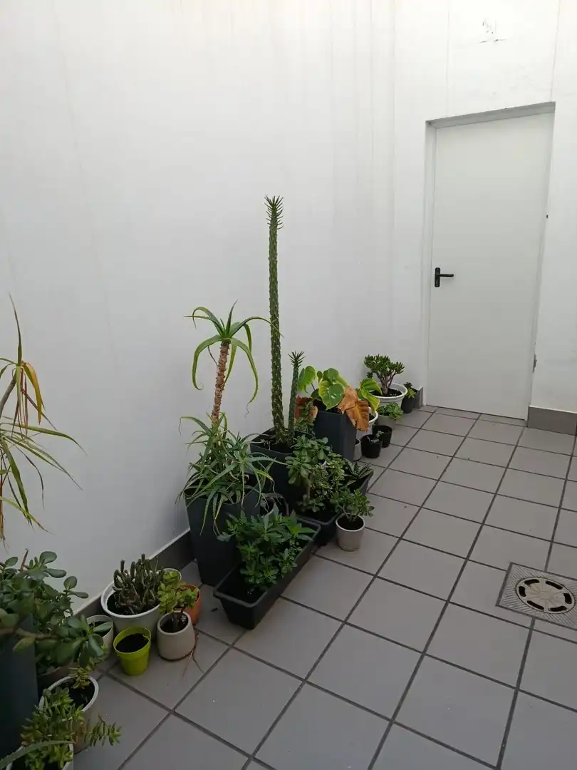 Jardí de Casa o xalet en venda en Rociana del Condado amb Aire condicionat