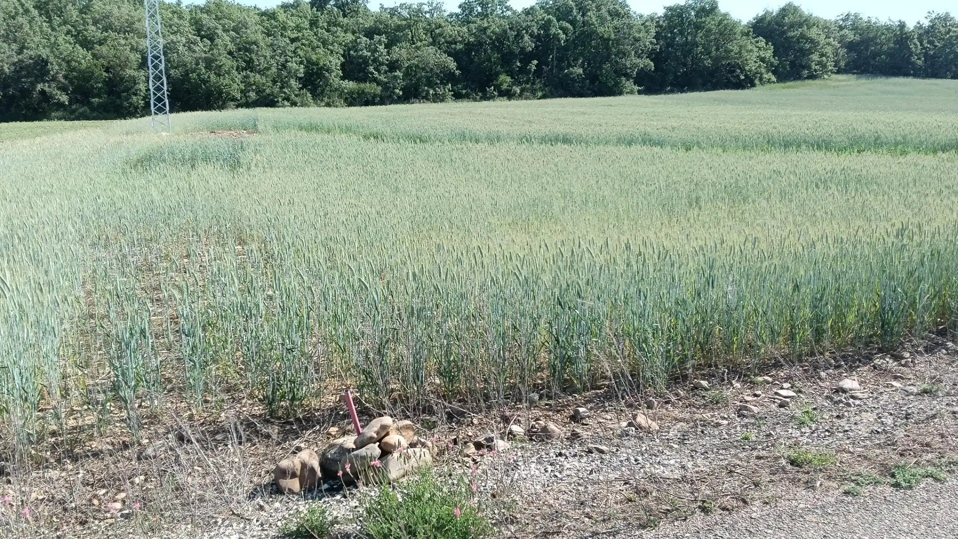 Land for sale in Ibeas de Juarros