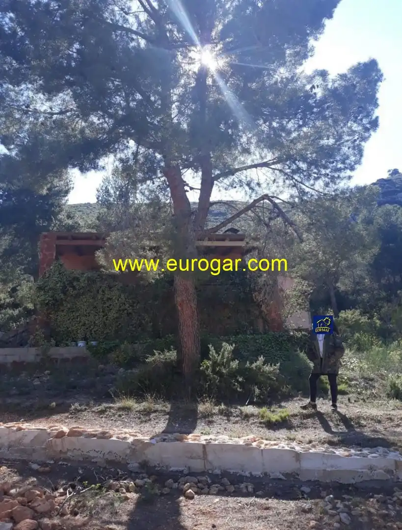 Vista exterior de Casa o chalet en venta en Chiva con Trastero