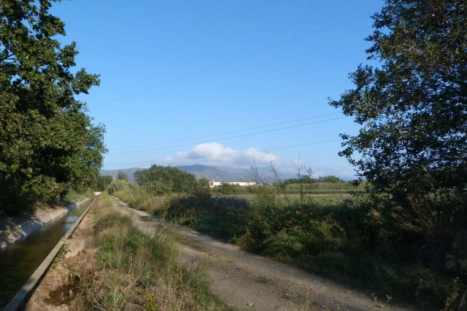 Terreny rústic en venda a Poligono 5 Parcela 66 La Closa Garriguella, imagen 2