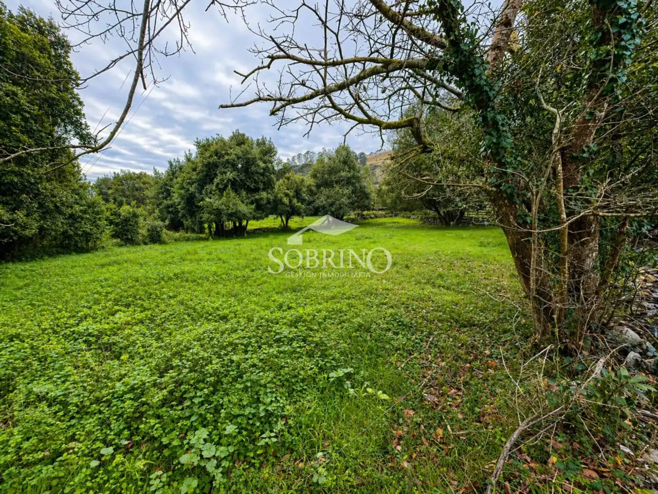 Residencial en venta en Llanes