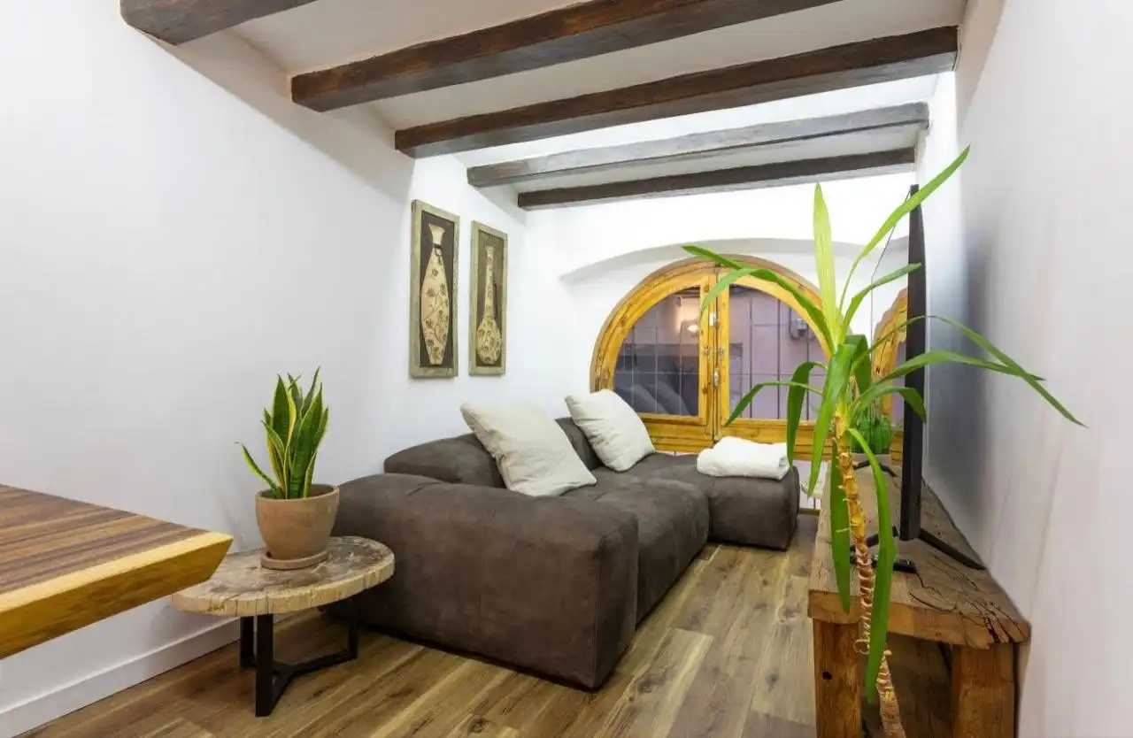 Flat for rent in Carrer de la Portaferrissa, 1, Barri Gòtic