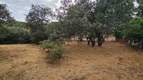 Foto 4 de Residencial en venta en Montecalderon Calle Blasco Ibañez, El Casar, Guadalajara